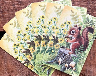 Juego de 6 naipes vintage de ardillas en la naturaleza