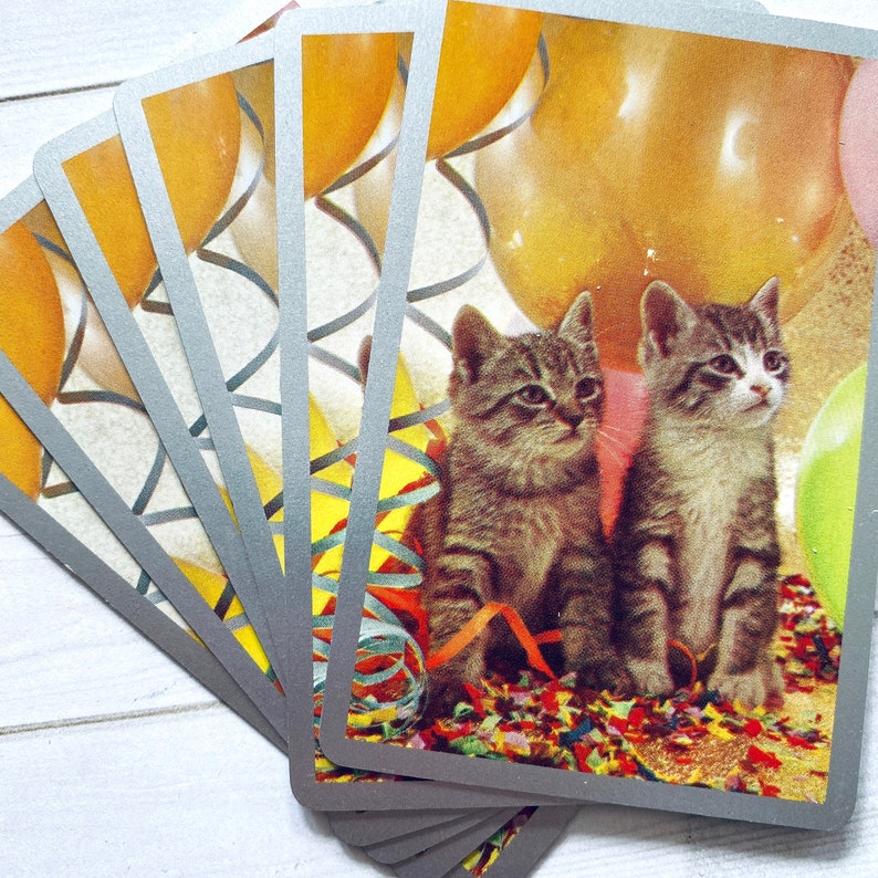 May include: Two kittens with gray and white fur are sitting on a bed of colorful confetti. They are surrounded by yellow, orange, and red balloons. The kittens are looking at the camera.