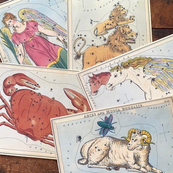 Vintage Constellation Card - Choose Design - Outer Space, Stars, Junk Journal Cards, Paper Ephemera, Astronomy, Zodiac Sign, Print Horoscope