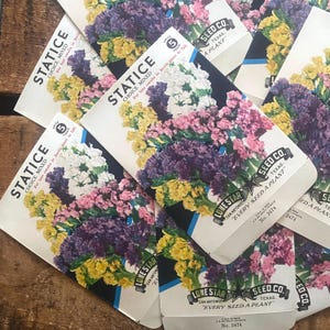Vintage Flower Seed Packets EMPTY - Statice - Set of 4 - Vintage Ephemera, Junk Journal, Craft Supplies, Flower Ephemera, Seed Packs