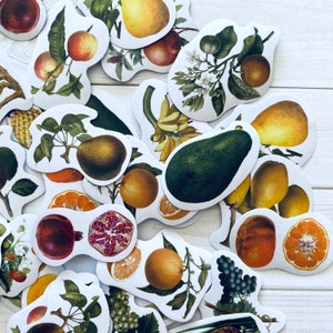 May include: Assortment of colorful fruit and vegetable stickers with various designs, including a green avocado, a yellow pear, a bunch of bananas, and a red apple. The stickers are perfect for adding a touch of nature to your planner, journal, or laptop.