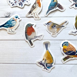 May include: A collection of colorful bird stickers with watercolor-like designs. The stickers feature various bird species, including robins, bluebirds, and sparrows, with intricate details and realistic depictions.