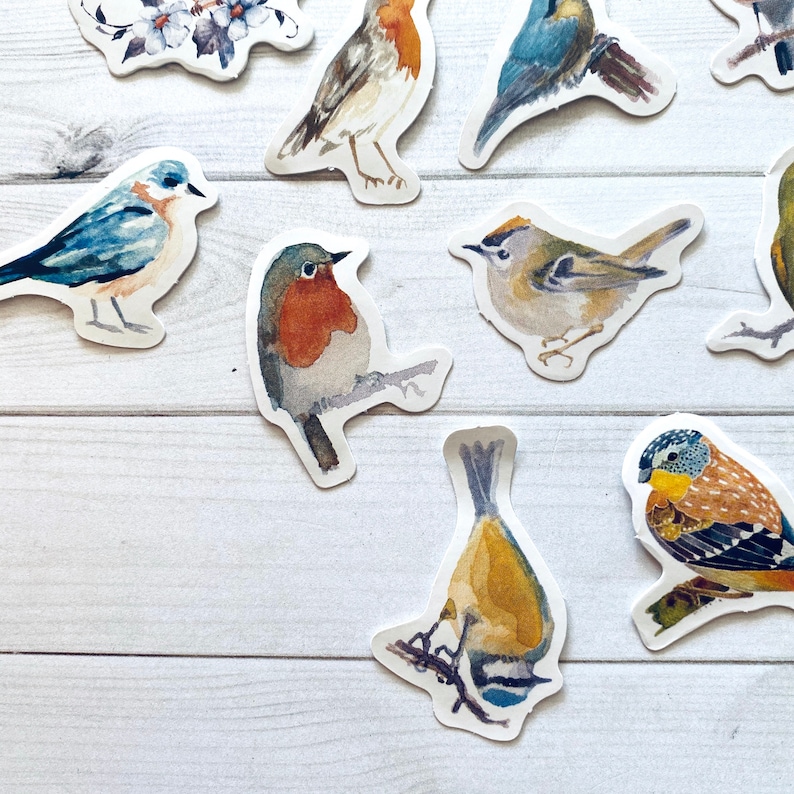 May include: A collection of colorful bird stickers with watercolor-like designs. The stickers feature various bird species, including robins, bluebirds, and sparrows, with intricate details and realistic depictions.