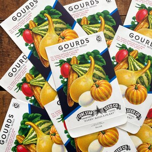 paquets de graines de légumes vintage vides - calebasses - lot de 4 - éphémères vintage, éphémères de journal indésirable, fournitures créatives, paquets de graines vides