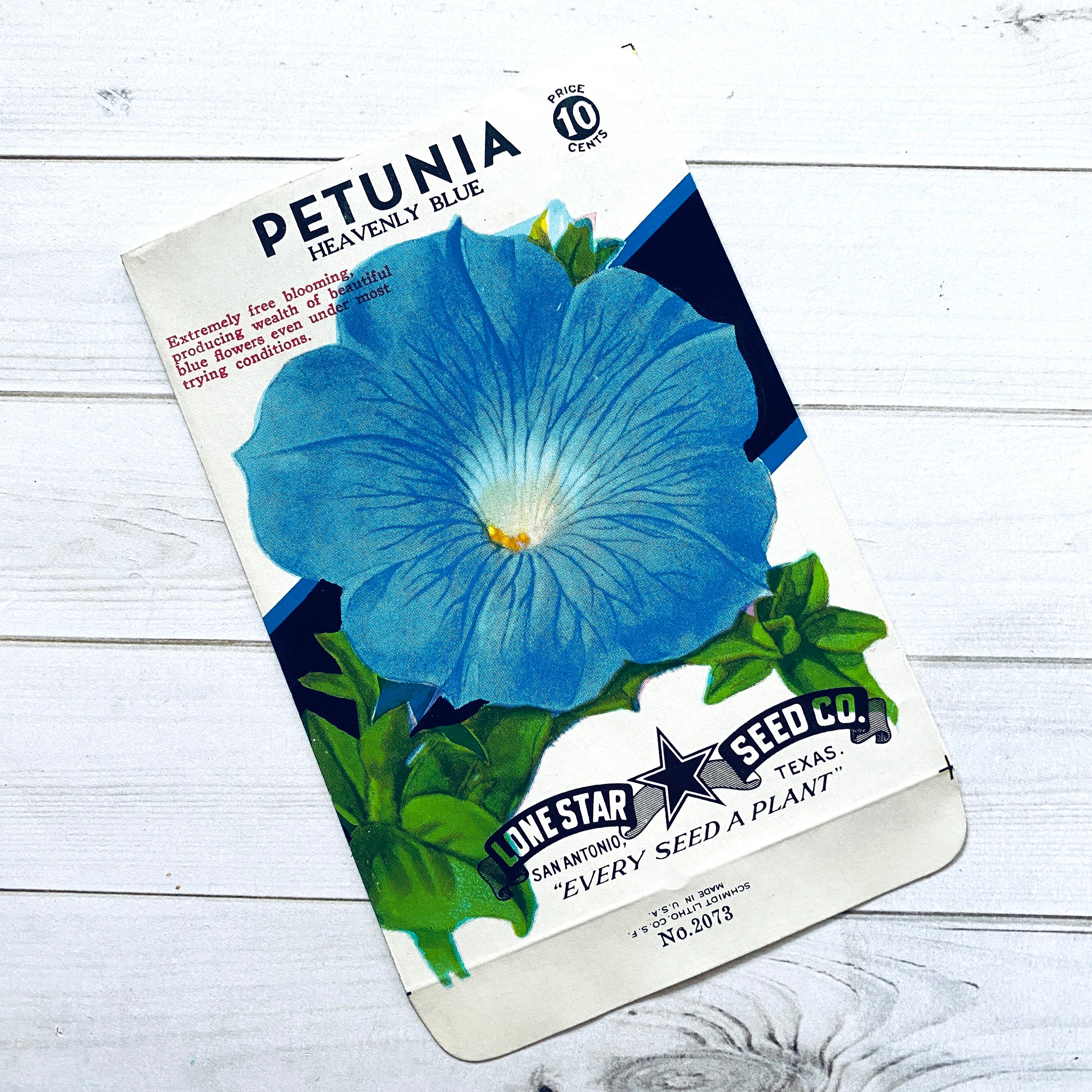 Petunia Vintage Lone Star Seed Packet, Heavenly Blue