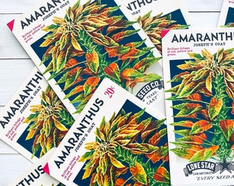 Vintage Plant Seed Packets EMPTY - Amaranthus - Set of 4 - Vintage Ephemera, Junk Journal Ephemera, Craft Supplies, EMPTY Seed Packs