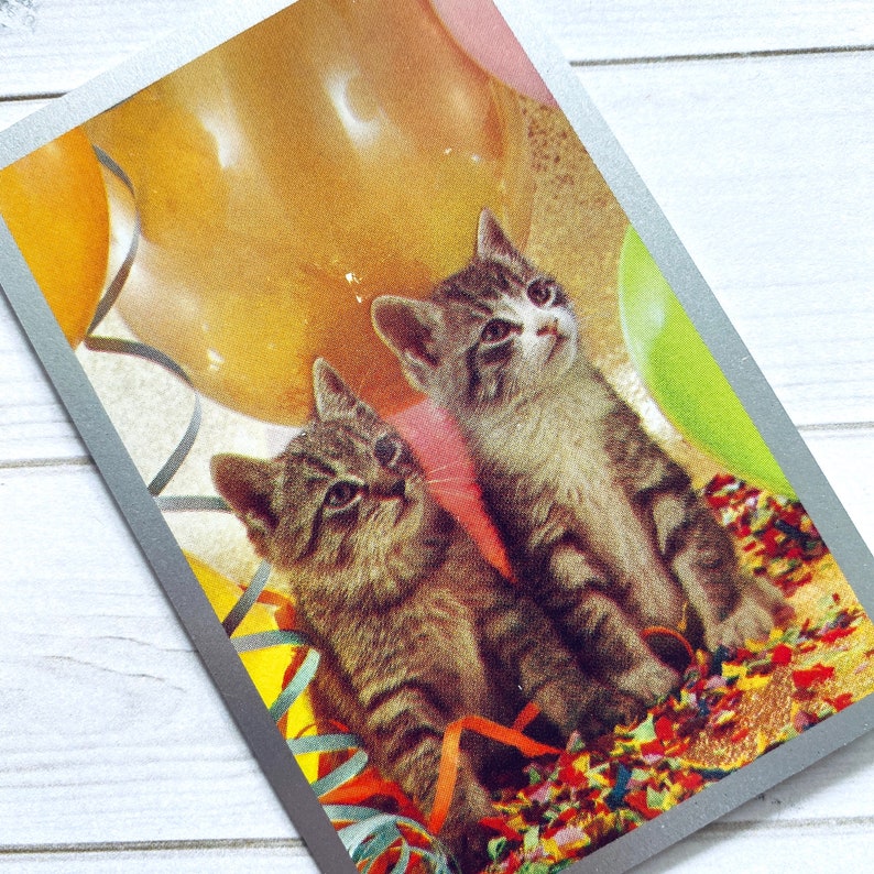 May include: Two tabby kittens with green eyes are sitting on a bed of colorful confetti and balloons. The kittens are looking up at the camera.