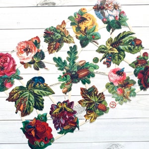 German Scraps - Käfer, Natur, Insekten - Die Schnitte, Cut-Outs, Reproduktion, Vintage Stil, Vintage inspiriert, Papier Ephemera, Schmetterlinge