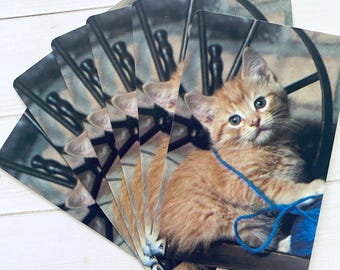 Vintage Orange Kitten with Blue Yarn Playing Cards - Set of 6