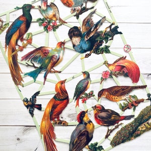 Troqueles de corte: pájaros: troqueles, recortes, reproducciones, estilo vintage, inspiración vintage, papel efímero, pájaro vintage, efímera de pájaro lindo