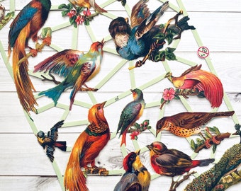 Die Cut Scraps - Birds - Die Cuts, Cut Outs, Reproduction, Vintage Style, Vintage Inspired, Paper Ephemera, Vintage Bird, Cute Bird Ephemera