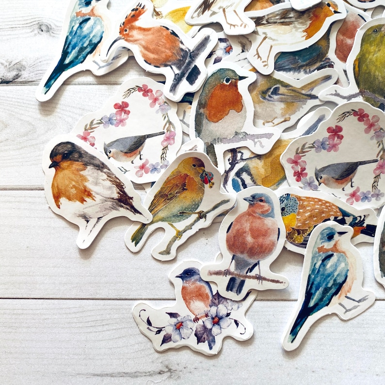 May include: A collection of colorful bird stickers with various designs and poses. The stickers feature realistic details and vibrant colors, including blue, green, red, yellow, and brown.
