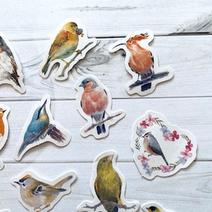 May include: A set of ten colorful bird stickers featuring a variety of species, including a robin, a wren, a goldfinch, and a bluebird. The stickers are perfect for adding a touch of nature to your journals, planners, or laptops.