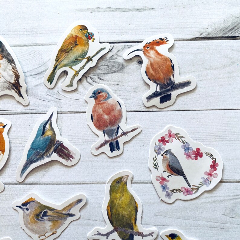 May include: A set of ten colorful bird stickers featuring a variety of species, including a robin, a wren, a goldfinch, and a bluebird. The stickers are perfect for adding a touch of nature to your journals, planners, or laptops.