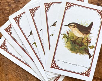 Vintage Wren Bird Playing Cards - Set of 6