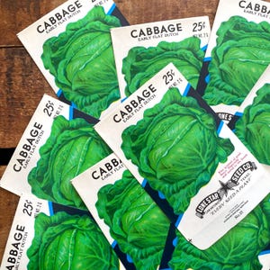 paquets de graines de légumes vintage vides - chou - lot de 4 - éphémères vintage, éphémères de journal indésirable, fournitures créatives, paquets de graines vides