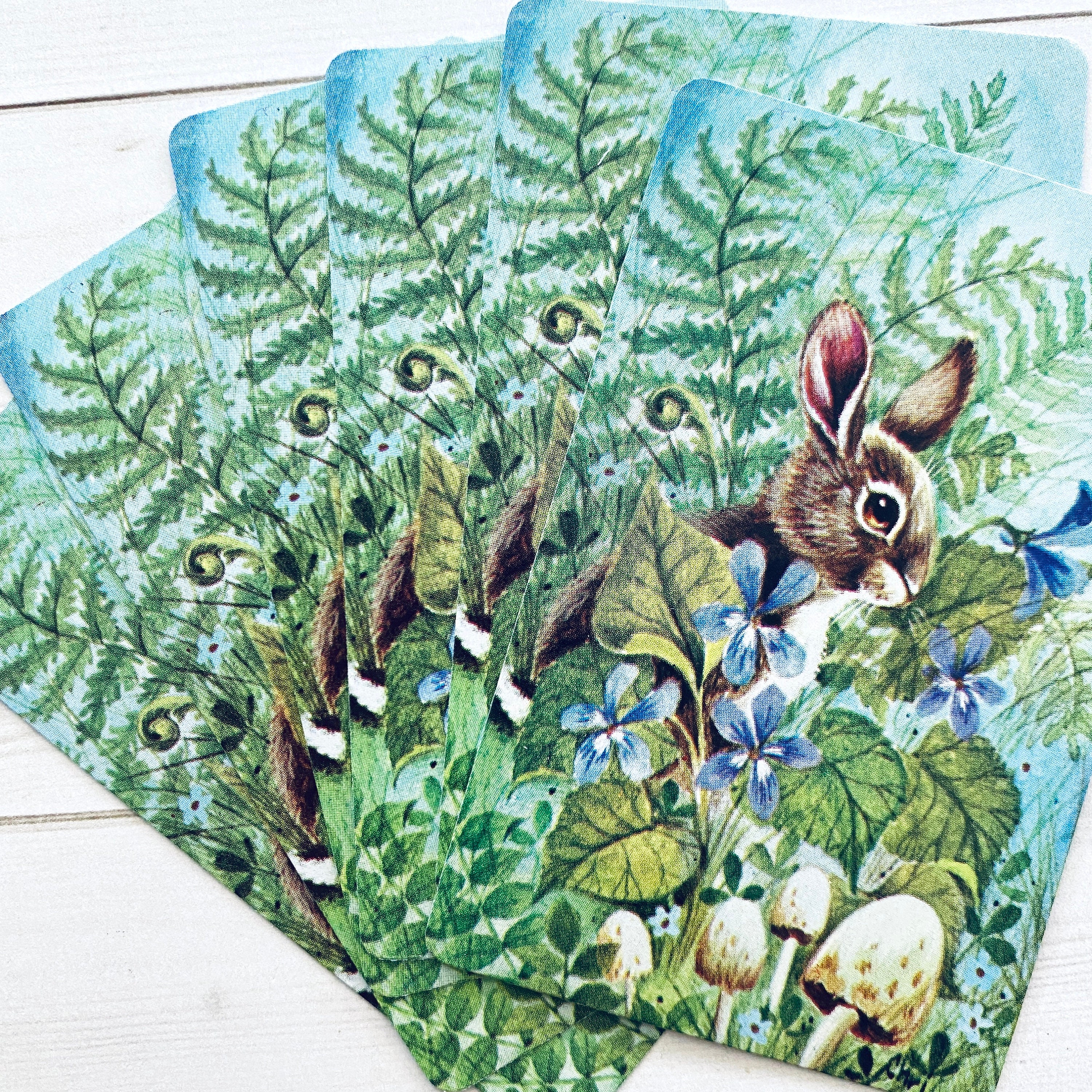 Brer Rabbit Playing Cards Vintage Bunny Rabbit in Nature Playing Cards - Set of 6 - Etsy