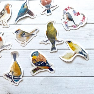 May include: A set of ten colorful bird stickers with various species, including a robin, a bluebird, a green finch, and a yellow finch. The stickers are on a white wooden background.