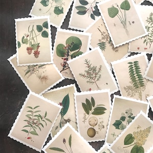 Plant Stickers - Set of 45 - Junk Journal Ephemera Supply