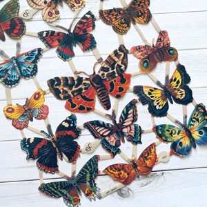 German Scraps Butterflies Die Cuts, Cut Outs, Reproduction, Vintage Style, Vintage Inspired, Paper Ephemera, Vintage Butterflies, Insect image 4