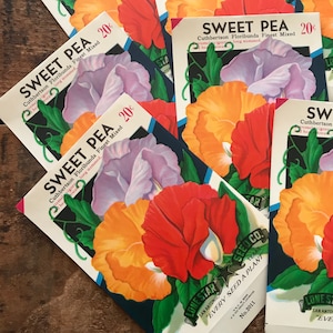 Vintage Blumensamen-Pakete LEER - Sweet Pea - 4er-Set - Vintage Ephemera, Junk Journal, Bastelbedarf, Blumen Ephemera, leere Samenpakete