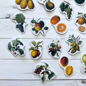 May include: A set of colorful stickers featuring various fruits, vegetables, and floral designs. The stickers are perfect for adding a touch of whimsy to journals, laptops, water bottles, and more.