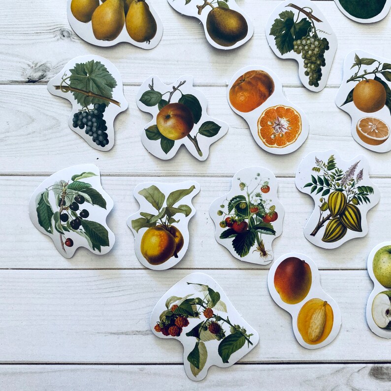 May include: A set of colorful stickers featuring various fruits, vegetables, and floral designs. The stickers are perfect for adding a touch of whimsy to journals, laptops, water bottles, and more.