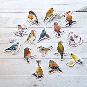 May include: A set of 15 colorful bird stickers with various poses and designs. The stickers feature a variety of bird species, including robins, bluebirds, and sparrows. The stickers are perfect for adding a touch of nature to your crafts, journals, or planners.