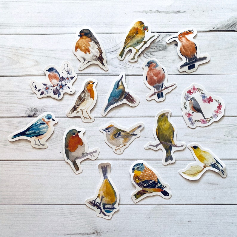 May include: A set of 15 colorful bird stickers with various poses and designs. The stickers feature a variety of bird species, including robins, bluebirds, and sparrows. The stickers are perfect for adding a touch of nature to your crafts, journals, or planners.