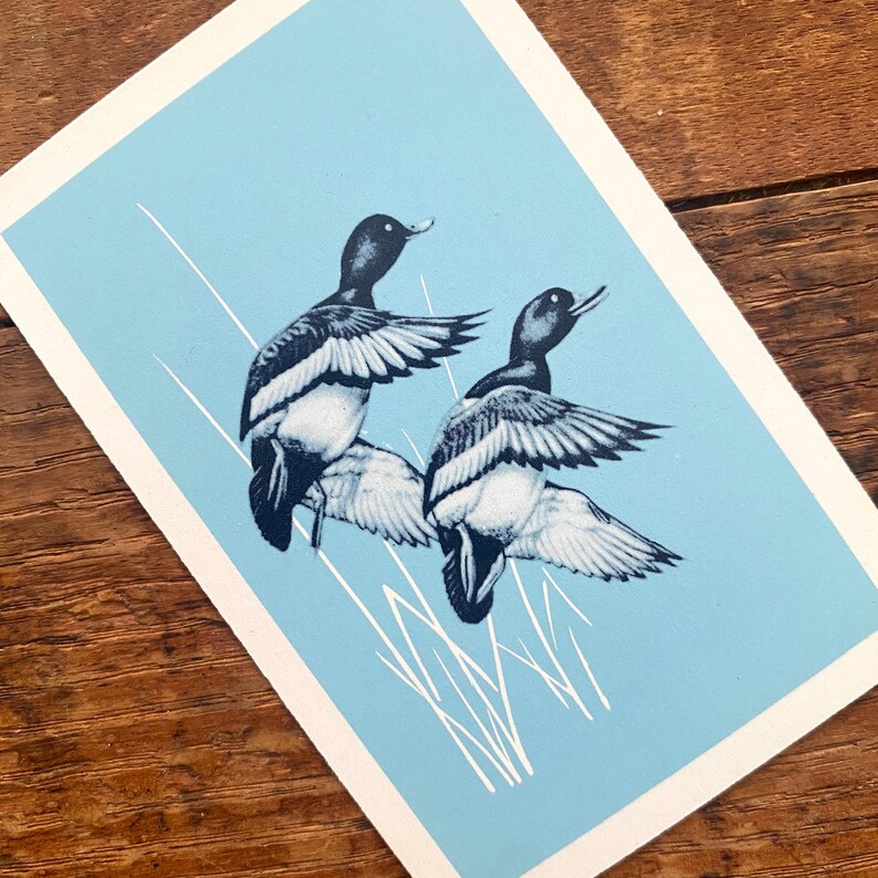 May include: A print featuring two ducks in flight, rendered in shades of black and white against a light blue background. The ducks are depicted with their wings spread, and the artwork includes white, vertical lines suggesting reeds.