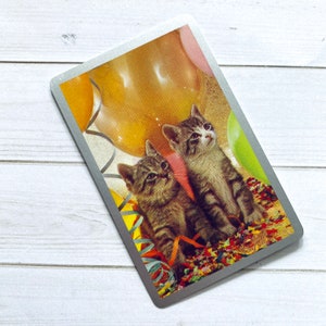 May include: Two tabby kittens with brown and white fur are sitting on a bed of colorful confetti and balloons. The kittens are looking at the camera.