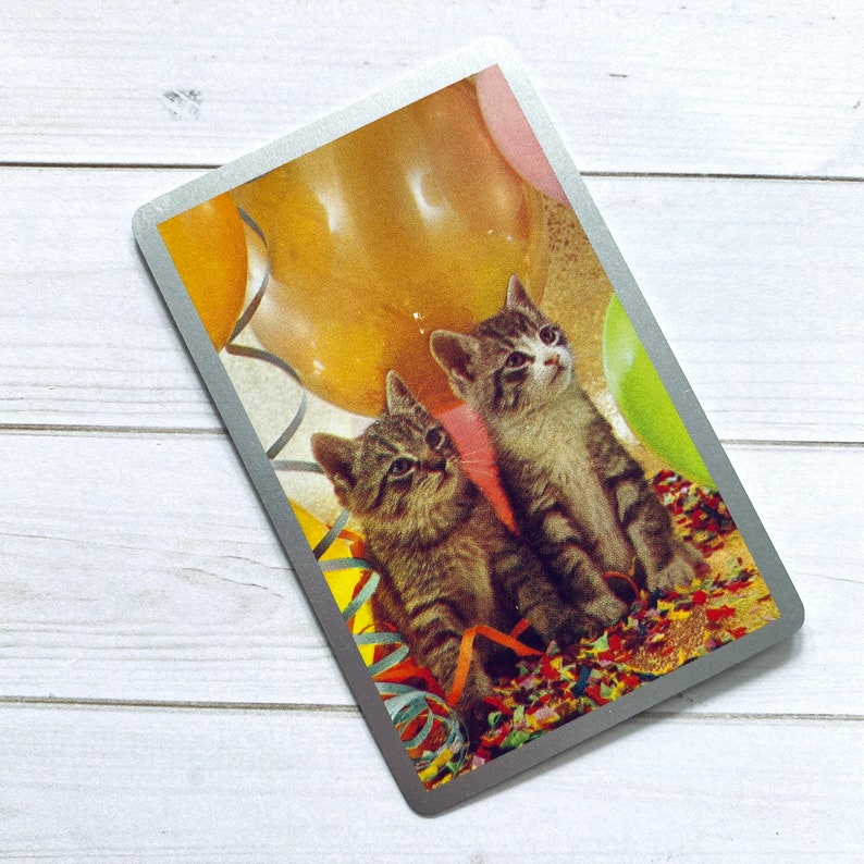 May include: Two tabby kittens with brown and white fur are sitting on a bed of colorful confetti and balloons. The kittens are looking at the camera.