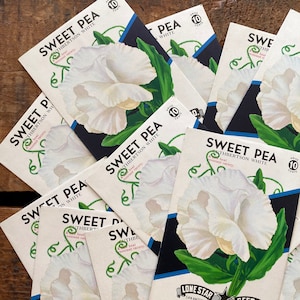 Vintage Flower Seed Packets EMPTY - Sweet Pea - Set of 4 - Paper Ephemera, Junk Journal, Craft Supplies, Flower Ephemera, EMPTY Seed Packs