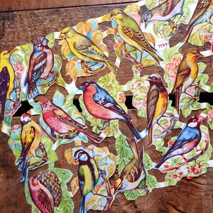 ヴィンテージスタイルのドイツ製スクラップダイカット：鳥とオウムのエフェメラ