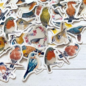 May include: A collection of colorful bird stickers with various designs and poses. The stickers feature a variety of bird species, including robins, bluebirds, and sparrows. The stickers are perfect for adding a touch of nature to your crafts, journals, or planners.