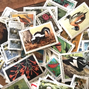 Vintage Nature Stamps - Random Set of 15 - Vintage Stamps, Altered Art, Junk Journal, Scrapbooking, Mixed Media, Collage, Paper Ephemera
