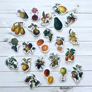 May include: A set of 20 colorful stickers featuring various fruits and vegetables. The stickers are printed on white paper and have a glossy finish. The stickers are perfect for adding a touch of whimsy to your planner, journal, or laptop.
