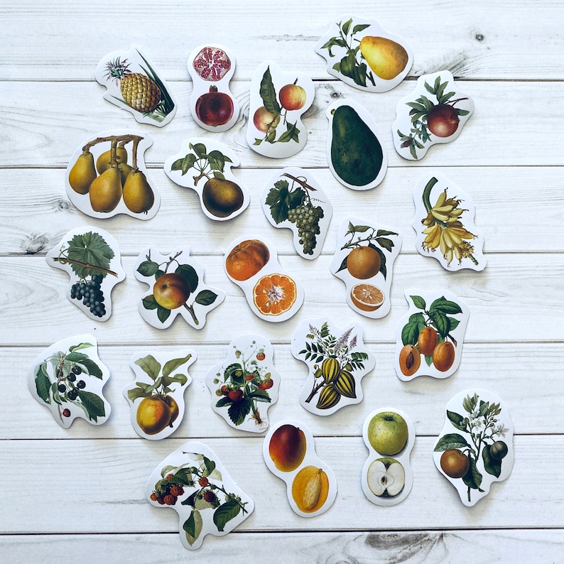 May include: A set of 20 colorful stickers featuring various fruits and vegetables. The stickers are printed on white paper and have a glossy finish. The stickers are perfect for adding a touch of whimsy to your planner, journal, or laptop.