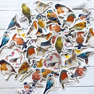 May include: A collection of colorful bird stickers with various designs and poses. The stickers feature realistic details and are perfect for adding a touch of nature to crafts, journals, and other projects.