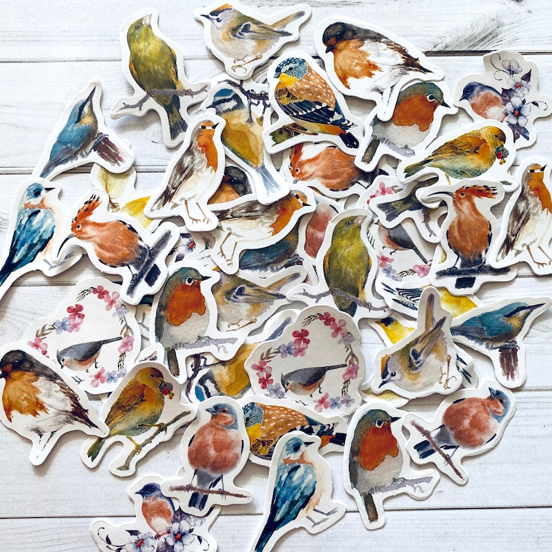 May include: A collection of colorful bird stickers with various designs and poses. The stickers feature realistic details and are perfect for adding a touch of nature to crafts, journals, and other projects.