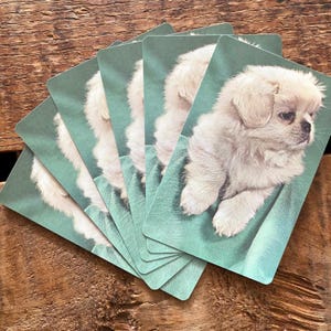 Jeu de cartes chiot vintage - lot de 6 - cartes pour enfants, scrapbooking, papier éphémère, journal indésirable, fournitures créatives, art altéré, chien mignon