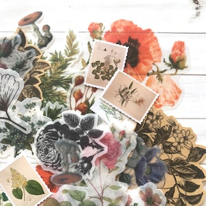 Blumen Aufkleber - Set von 25 - Natur Aufkleber, Junk Journal Papier Ephemera, Planerbedarf, Bastelbedarf, Natur Ephemera, Pflanzen
