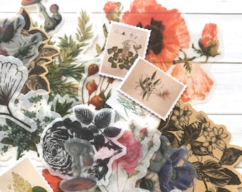 Flower Stickers - Set of 25 - Nature Stickers, Junk Journal Paper Ephemera, Planner Supplies, Craft Supplies, Nature Ephemera, Plants