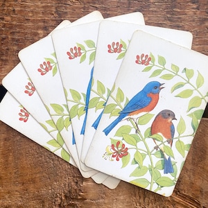 Juego de 6 naipes de pájaros vintage - Tarjetas de naturaleza Audubon, tarjetas de pájaros azules antiguos, papel de scrapbooking, diario basura, materiales para manualidades