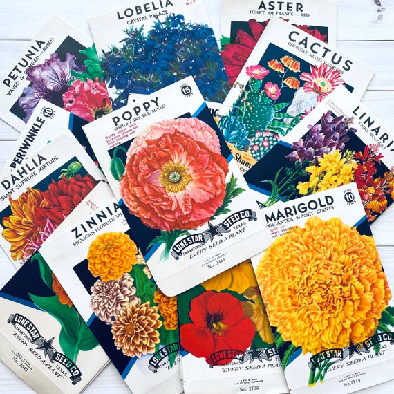 A Collection of 15 Vintage Flower Seed Packets