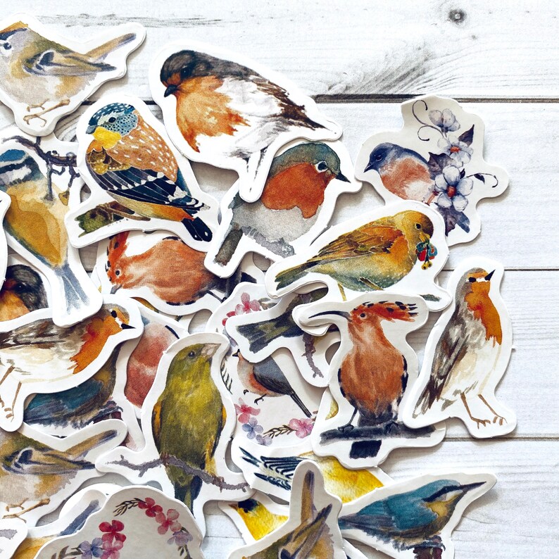 May include: A collection of colorful bird stickers with watercolor-like designs. The stickers feature various bird species, including bluebirds, robins, and sparrows, with intricate details and realistic depictions.