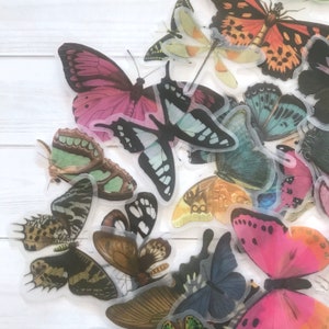Schmetterling Aufkleber - Set von 25 - Natur Aufkleber, Junk Journal Papier Ephemera, Planerbedarf, Bastelbedarf, Natur Ephemera, Pflanzen
