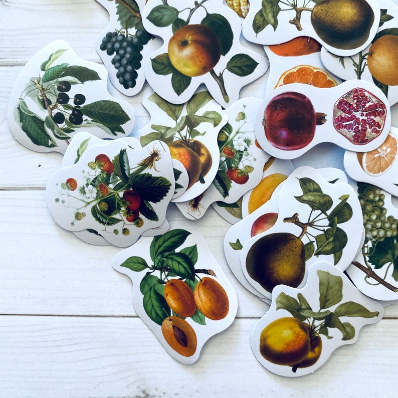 May include: A collection of colorful fruit and berry stickers with illustrations of apples, pears, plums, strawberries, cherries, pomegranates, and grapes. The stickers are on a white background.