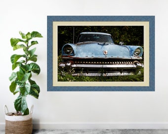 In The Weeds Classic Car Photo Download