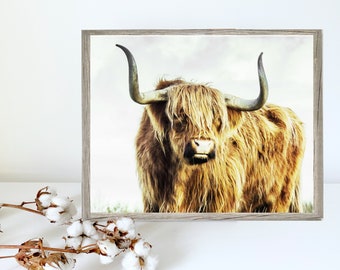 Highland Bull Cow Farmhouse Style Print